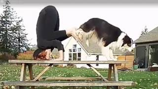 Πράγματα που μπορείς να κάνεις με τον σκύλο σου.