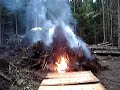 jump starting a stump burn jump starting a stump burn
