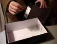 Antiques Roadshow Spoof