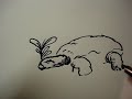 how to draw a turtle