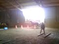 o galop