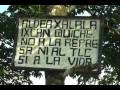 videos de REACTIVACIÓN DE XALALÁ BAJO LA MIRA INTERNACIONAL