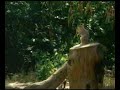 Road Squirrels