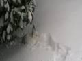 videos de flocon neige2