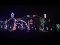 Christmas Light Show