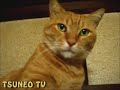 チャラオ君♪