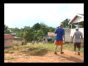 Walking Walking