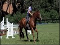 Behind Brown Eyes (Horse for Sale) Behind Brown Eyes (Horse for Sale)