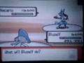 D/P WIFI Battle: #16 vs Jikirdor