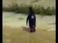 Slayer Pinguin