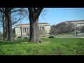Walk Around-Cherry Blossom Part 3