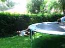 trampoline accadent