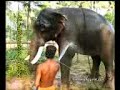 gaja-raja-rathnam-pampadi-rajan.html