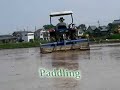 Field of Rice #2 Ridge Plastering & Paddling Field of Rice #2 Ridge Plastering & Paddling