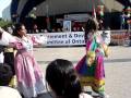 Afghan Independence Day (2)