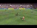 Zlat� g�l video 14