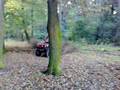videos de Bentley quad
