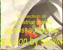 PRONAL ACTIVITIES