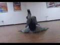 Expression Crew (breakdance)