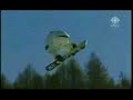 shaun white olympic gold medal run