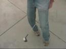 THE NEXT TIGER WOODS