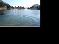 swimming and yodelling at an alpine lake