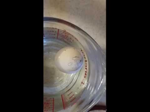 how to administer quail eggs