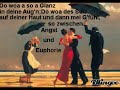 Reinhard Fendrich - Manchmal denk i no an di