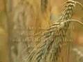 Handel's Messiah - 5 of 6