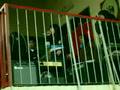 SOLO PARA TI { EN COLEGIO BLANCA VERGARA }