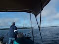 Landlocked Salmon Fishing
