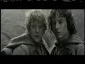 lord of the borachos