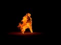 Daft Punk - Veridis Quo (Burning Man) Daft Punk - Veridis Quo (Burning Man)