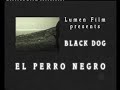 el perro negro takes a clich�s braking view of the spanish civil war trough a mesmerizing found footage collage. the saga begins in 1929 with the talented amateur filmmaker, joan salvans, son of a wealthy catalan industrialist, of terrassa.

el perro negro telling personal dramas, faults, faiths, illusions and desperation, the unseen side of an insane war. the workers self-government experiments, the multitude sufferings of civilians, the schism of the divided country, the revolutionary illusions, murders and the systematic massacres orgies of franco's brutality changed once and for ever the universe of unamuno, lorca, bunuel, hernandez, durruti, the royalists, and the falangists. the rise, and fall of ideas, the final personal losses come near to our eyes. the unseen private films reveal the cruel and beautiful sides of the spanish times - as a prelude to the world war ii.

more info at: http://www.peterforgacs.com