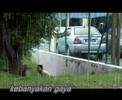 Kebanyakan Gaya by IKMI Johor Bahru
