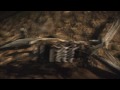 PS3 Quality Test - Motorstorm Pacific Rift