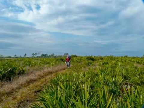 Wandern in Florida - Myakka River State Park SP