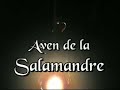 Speleo 30 Aven de la Salamandre Speleo 30 Aven de la Salamandre