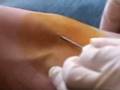 videos de oil(petroleum)blood.mov