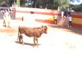 3a vakilla