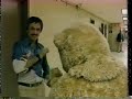 Larry Bud Melman in a bear suit Larry Bud Melman in a bear suit