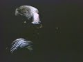 Front 242 - Masterhit (Live-1987)