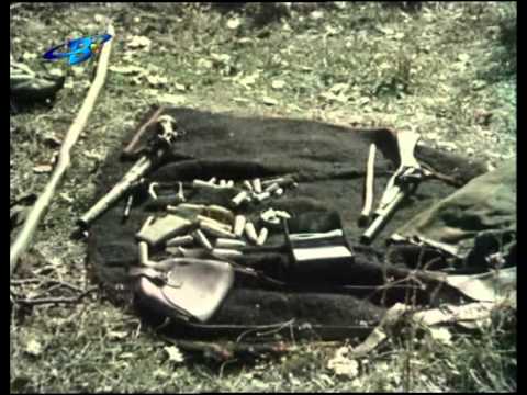 СТОЯН СТОЕВ