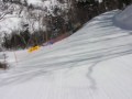 動画を再生