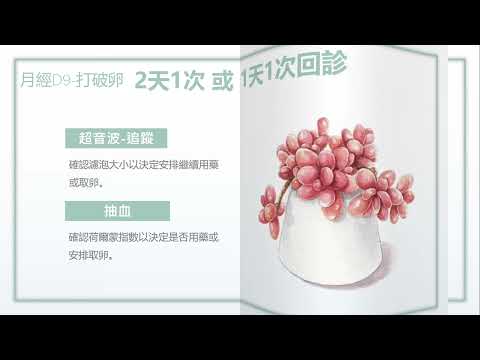 試管嬰兒療程回診的目地說明