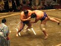 Sumo 2
