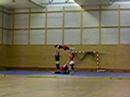 Acrogym bac 2008