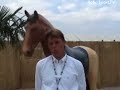 Paardensport - 15-8-2007: Dagboek Jeroen Dubbeldam