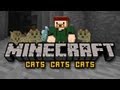 MINECRAFT: CATS CATS CATS - YOLOCRAFT #6 (Hardcore Survival)
