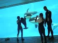 Trainers Play with Trua and Malia 1
